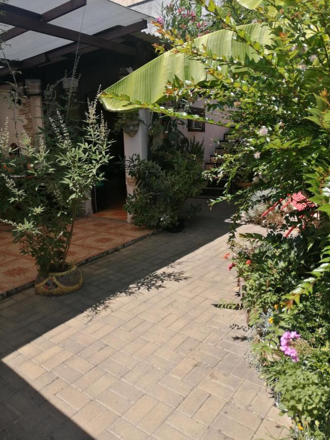 Magnoliia Hotel Сухуми Екстериор снимка