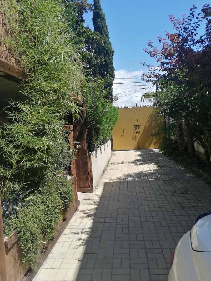 Magnoliia Hotel Сухуми Екстериор снимка