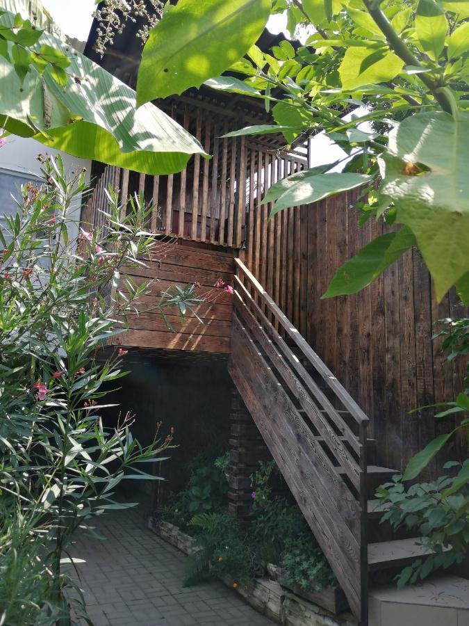 Magnoliia Hotel Сухуми Екстериор снимка