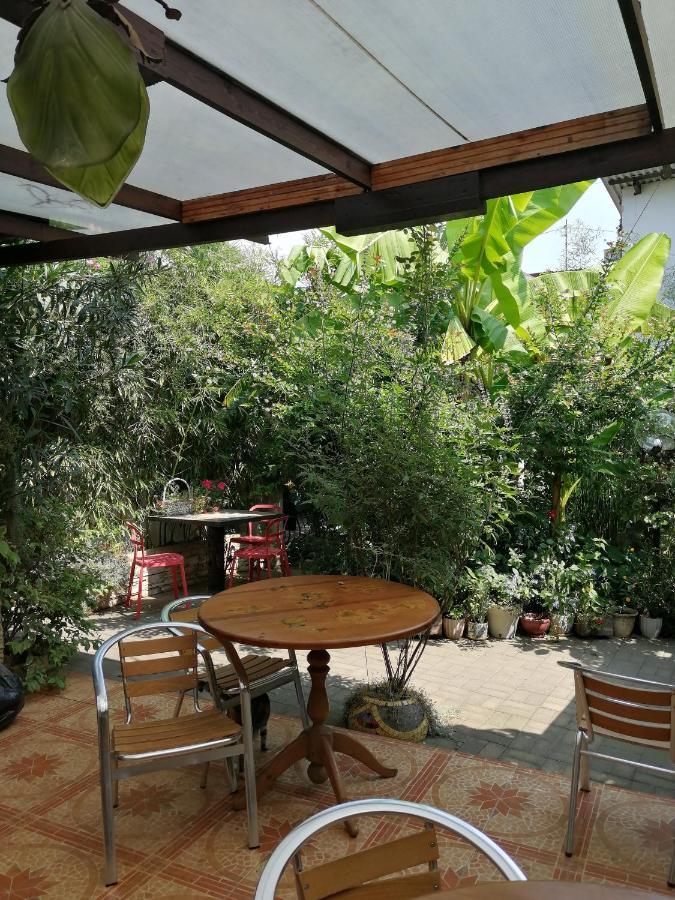 Magnoliia Hotel Сухуми Екстериор снимка