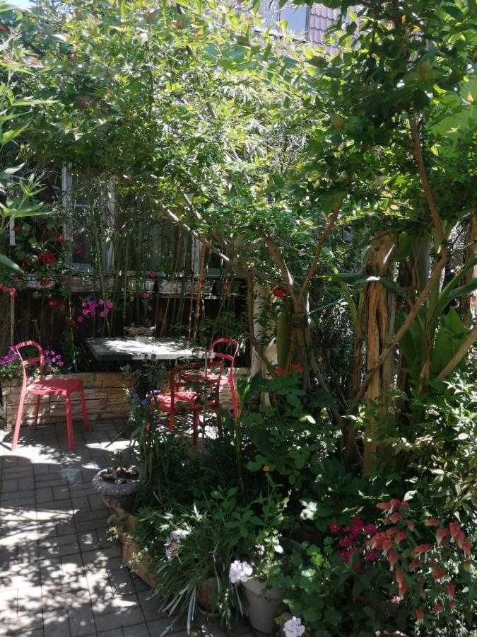 Magnoliia Hotel Сухуми Екстериор снимка